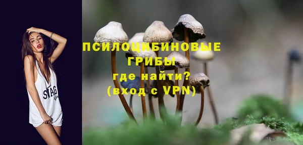 apvp Алексеевка