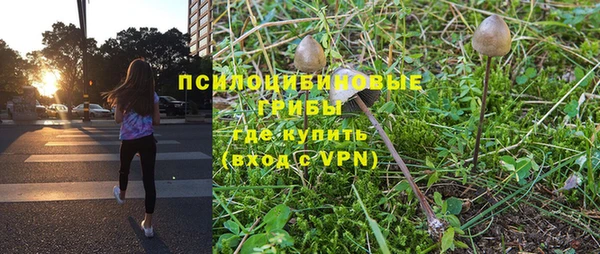 apvp Алексеевка