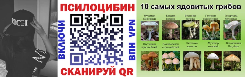 МЕГА рабочий сайт  Цивильск  Галлюциногенные грибы прущие грибы 