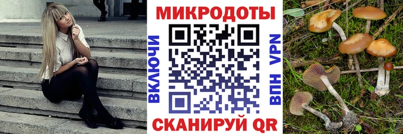 Галлюциногенные грибы GOLDEN TEACHER Цивильск